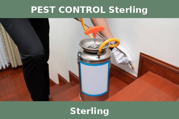 PEST CONTROL Sterling